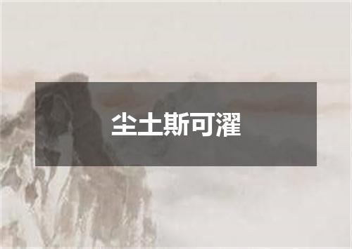 尘土斯可濯