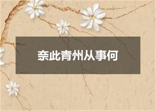 奈此青州从事何