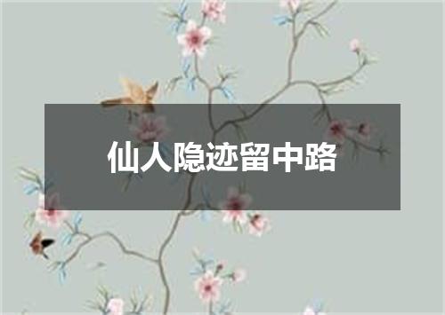 仙人隐迹留中路