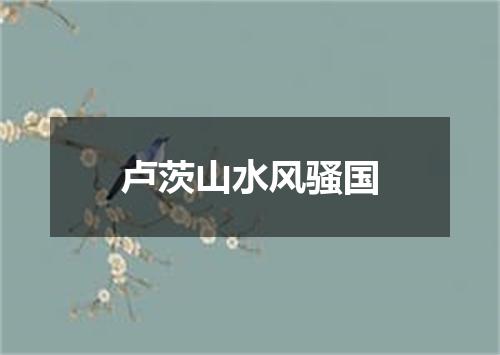 卢茨山水风骚国