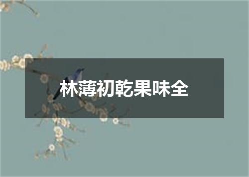 林薄初乾果味全