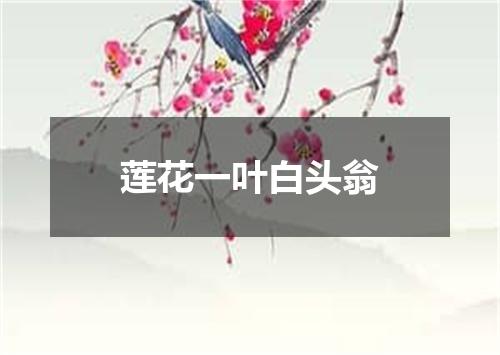 莲花一叶白头翁