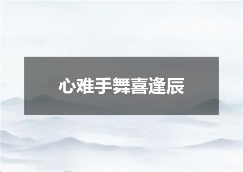 心难手舞喜逢辰