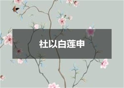 社以白莲申