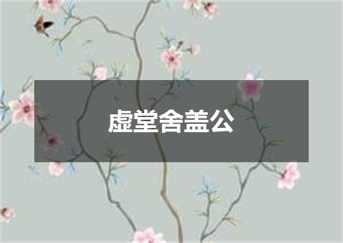虚堂舍盖公