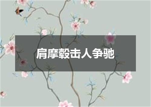 肩摩毂击人争驰