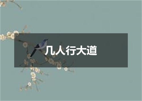 几人行大道