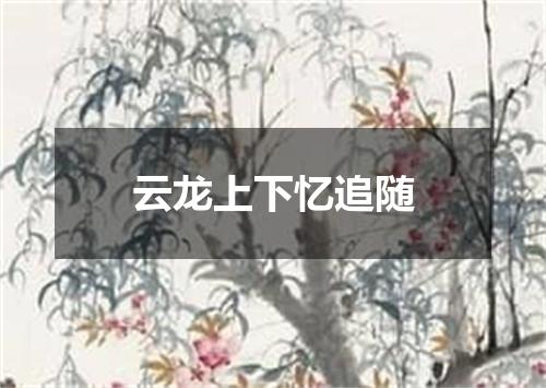 云龙上下忆追随