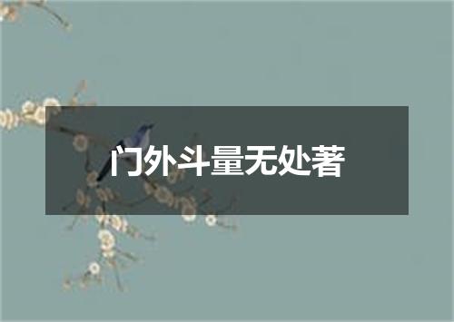 门外斗量无处著
