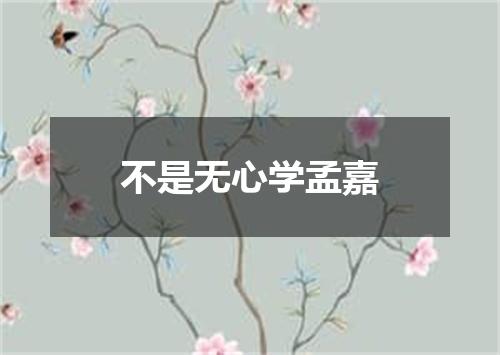 不是无心学孟嘉