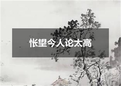 怅望今人论太高