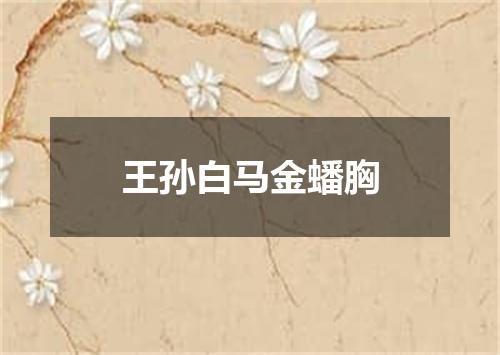 王孙白马金蟠胸