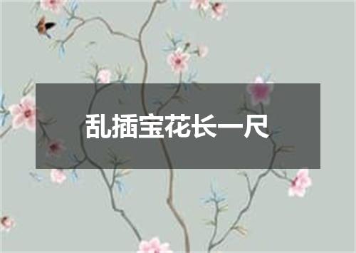 乱插宝花长一尺