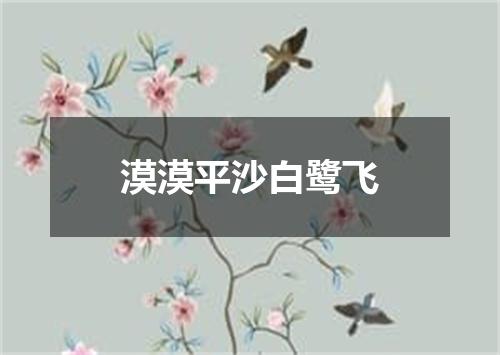 漠漠平沙白鹭飞