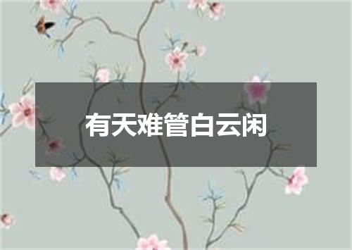 有天难管白云闲