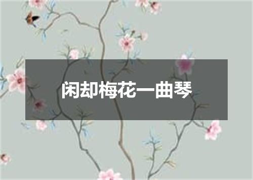 闲却梅花一曲琴