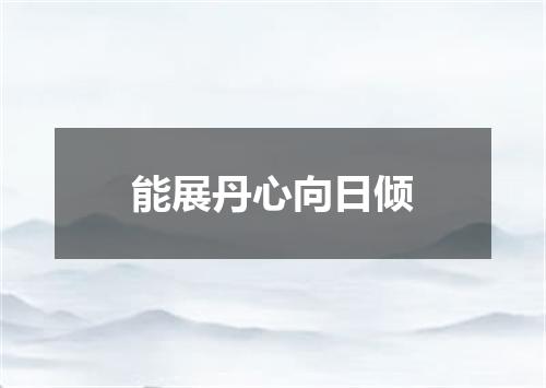 能展丹心向日倾