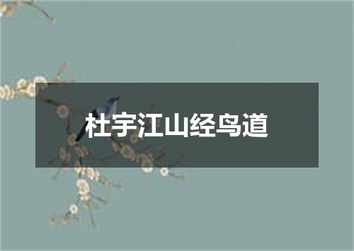 杜宇江山经鸟道