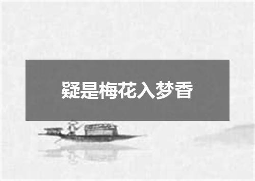 疑是梅花入梦香