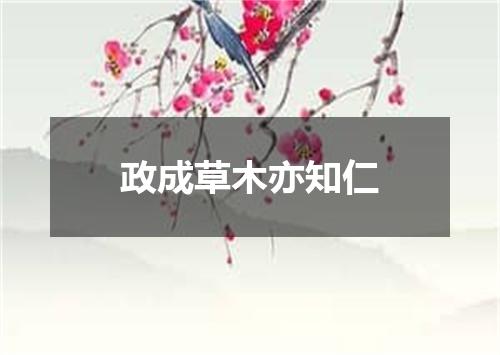 政成草木亦知仁