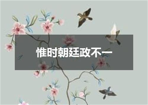 惟时朝廷政不一