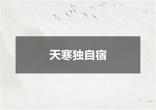 天寒独自宿