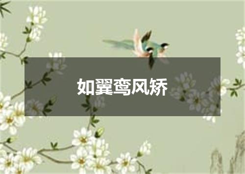 如翼鸾风矫