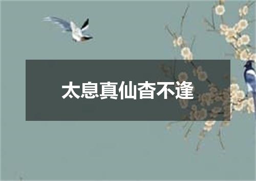 太息真仙杳不逢