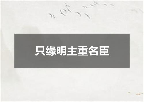 只缘明主重名臣