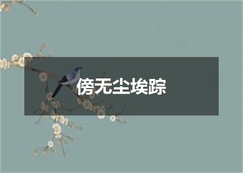 傍无尘埃踪