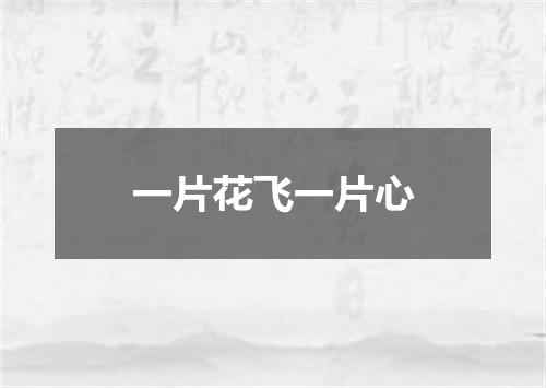 一片花飞一片心
