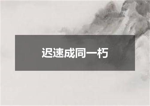迟速成同一朽