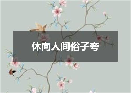 休向人间俗子夸