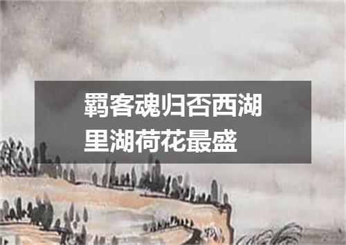 羁客魂归否西湖里湖荷花最盛