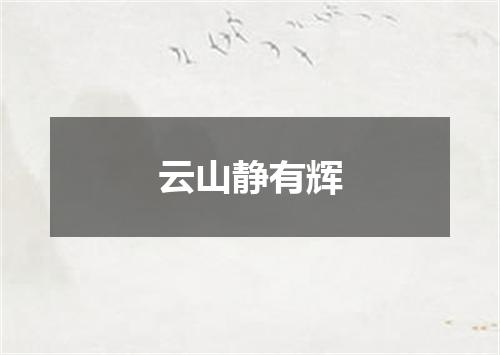 云山静有辉