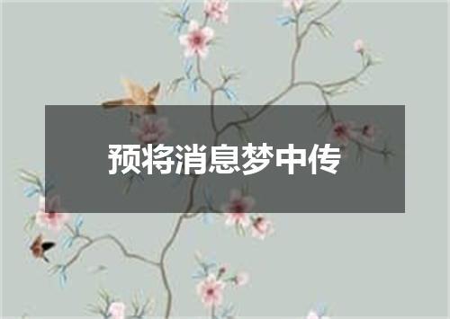 预将消息梦中传