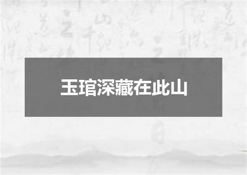 玉琯深藏在此山