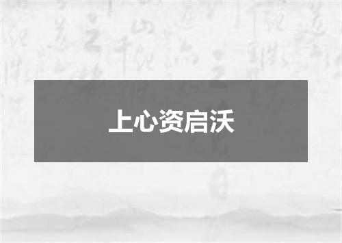 上心资启沃