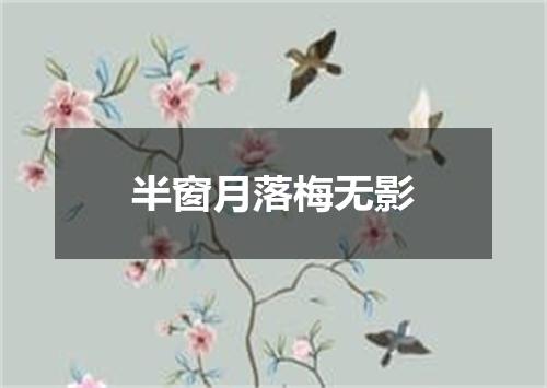 半窗月落梅无影