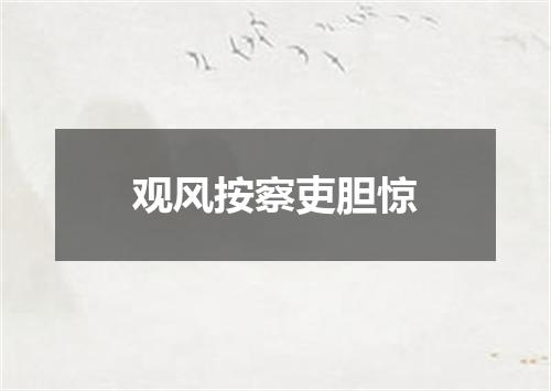 观风按察吏胆惊