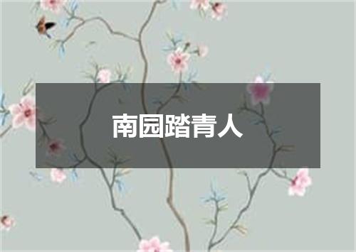 南园踏青人