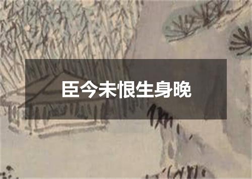 臣今未恨生身晚