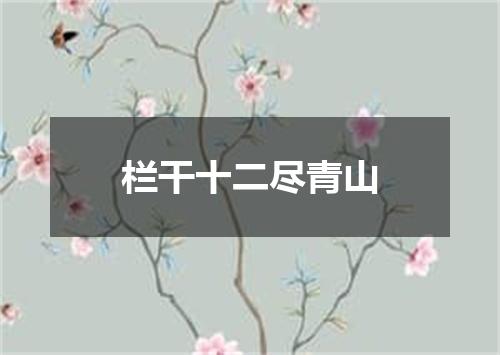栏干十二尽青山