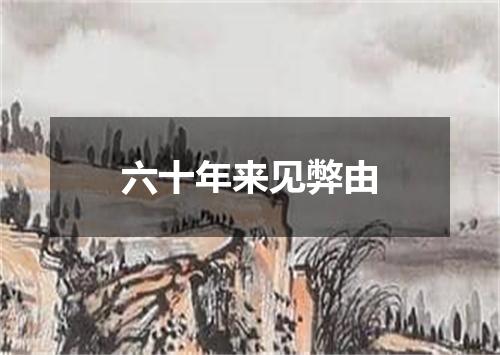 六十年来见弊由