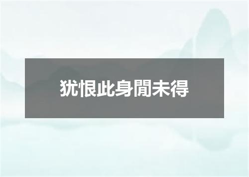 犹恨此身閒未得