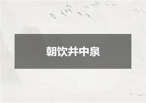 朝饮井中泉