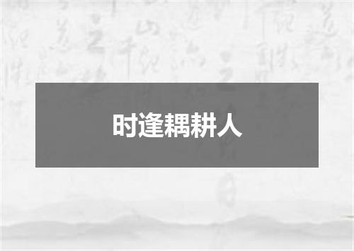 时逢耦耕人