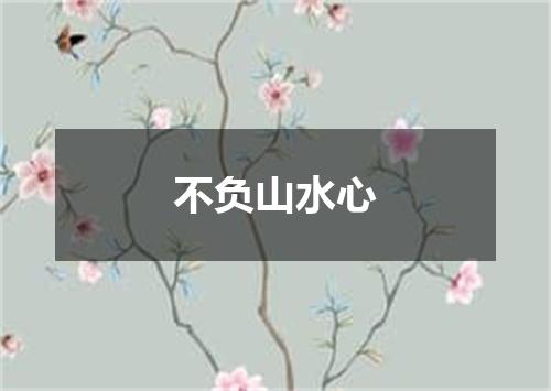 不负山水心