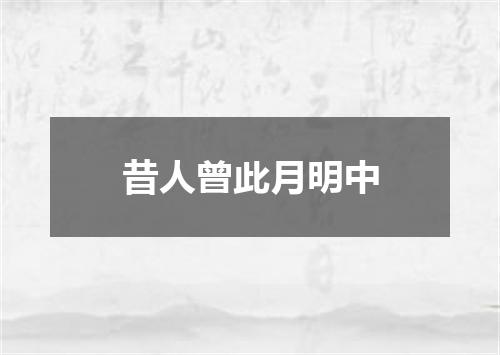 昔人曾此月明中