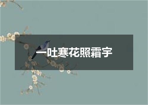一吐寒花照霜宇
